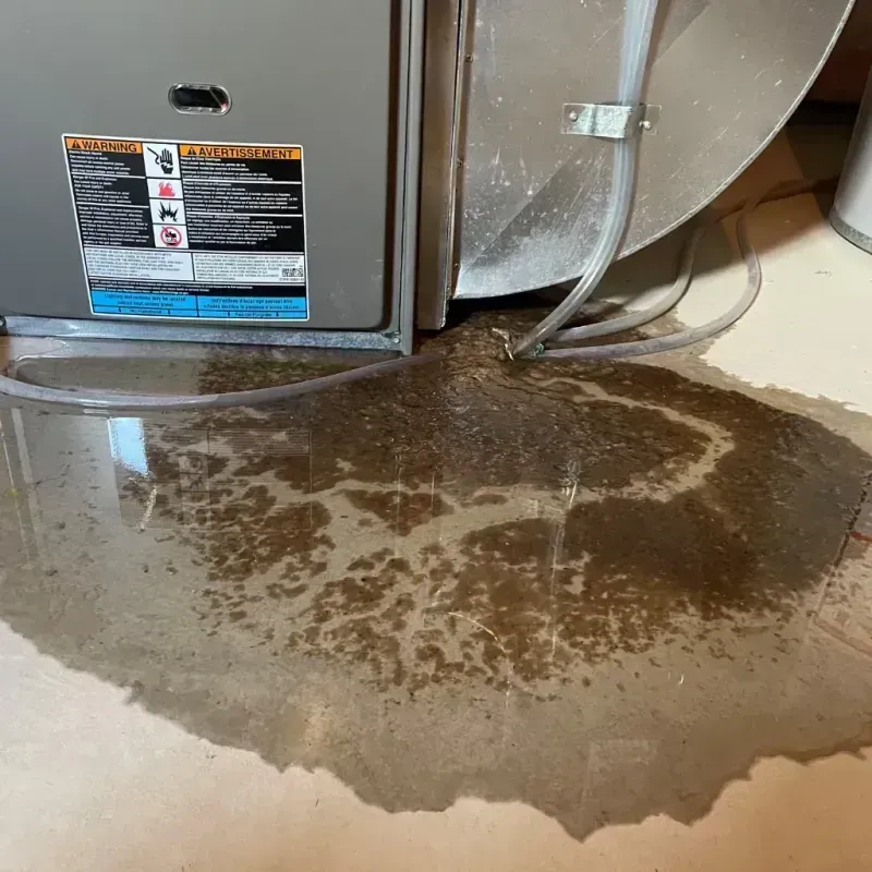 Appliance Leak Cleanup in Ponderay, ID